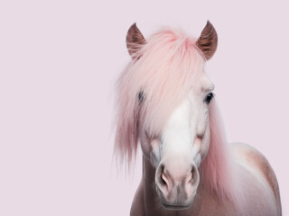 Soft pink horse head isolated on pink background. Generative AI