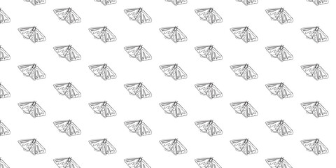 Obraz premium Line art butterflies. Beautiful minimalist butterflies. Butterfly kits and patterns. Line art kits and patterns.