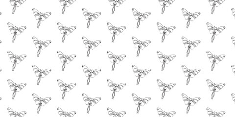 Line art butterflies. Beautiful minimalist butterflies. Butterfly kits and patterns. Line art kits and patterns.