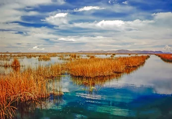 Foto op Canvas Lake Titicaca, Peru © Julius Fekete