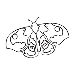 Line art butterflies. Beautiful minimalist butterflies. Butterfly kits and patterns. Line art kits and patterns.