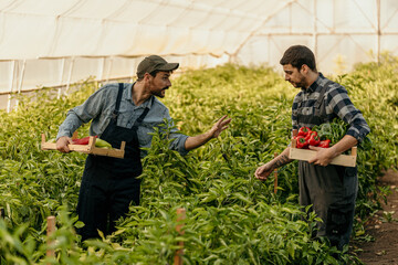 Two men chitchatted while working on the farm, holding wooden crates filled with fresh vegetables.