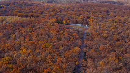 Memorial of Glory in the autumn forest park of the city of Kharkov from a bird's eye view, before...