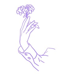 A hand in a shirt holding a flower.  Graceful hand with a flower.  Line Style
