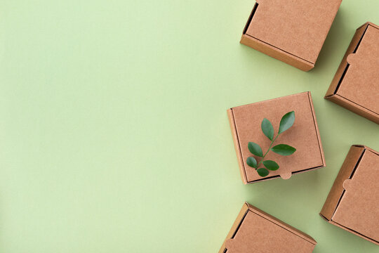 Eco, zero waste, plastic free and saving energy minimal concept from sprout with grean leaves growing from recycled cardboard box top view.