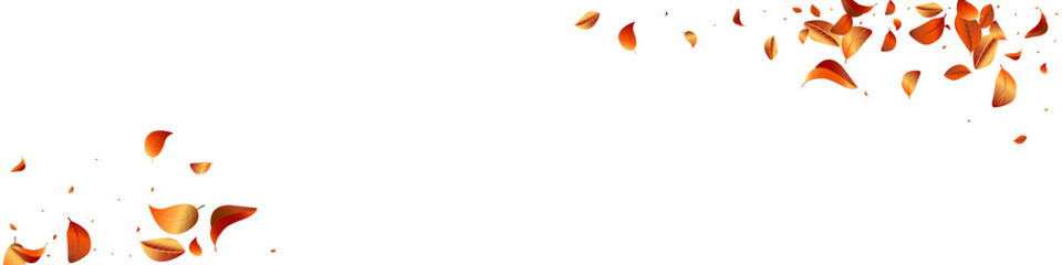 Obraz premium Red Leaves Fly Vector White Transparent Panoramic