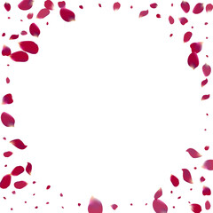Purple Petal Beauty Vector White Background.