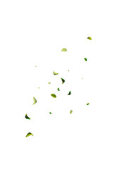 Lime Leaves Realistic White Vector Background