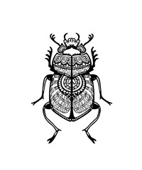 Scarab beetle sketch with ornate tangle pattern