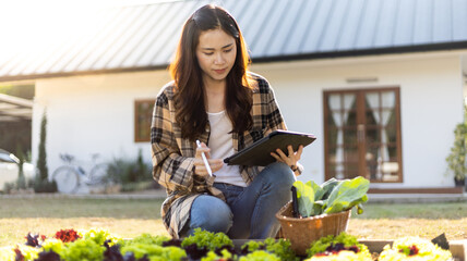 Owner of a small organic vegetable garden business uses a tablet to control and direct the supply of water and nutrients or to record the growth of vegetables in the garden, Vegetables in the greenhou