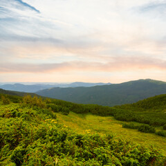 Obraz premium green mountain valley at the evening