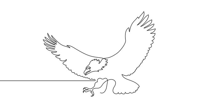 Animation of an image drawn with a continuous line. Eagle. American symbol of power and freedom.