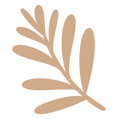 png plant boho design element