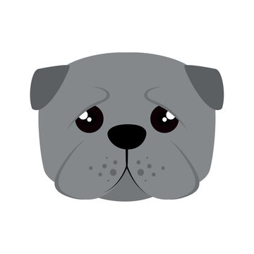 vector image dog face icon with white background