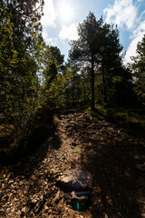 imagen de un paisaje de monta&ntilde;a, &aacute;rboles, con el cielo azul y alguna nube 