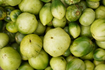 Green unripe tomatoes background. Top view