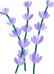 Purple cute lavender flower illustration hand drawn. Kawaii floral in acrylic watercolor painted style.