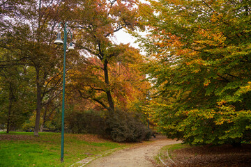 Naklejka premium Sempione park in Milan at fall