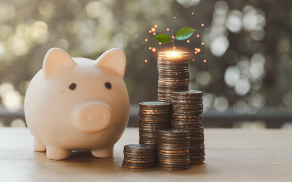 Plant growing on pile of coins with pink piggy bank on wooden floor with green blurred background. Business finance and save money concept for future. The concept of stability of life. - Powered by Adobe