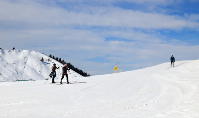 Ski nordique, ski de fond à Nistos, Hautes-Pyrénées