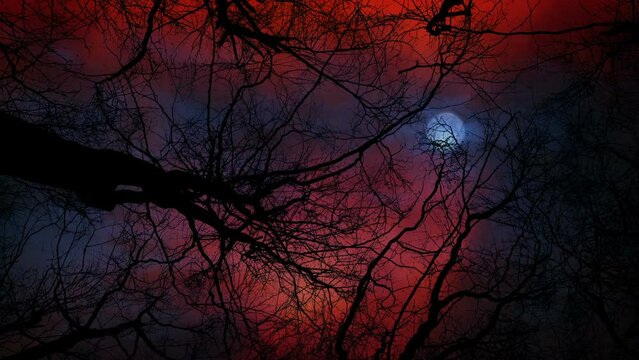Apocalyptic Sky With Lightning And Moon Above Dead Trees
