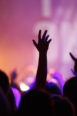 Cheerful music fan put hands up on concert. Electronic music festival audience partying to favorite...