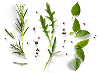 fresh mediterranean herb and spices with real transparent shadow isolated on transparent background. PNG Food background design element © Konstiantyn