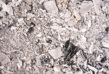 Abstract wood ash background. organic fertilizer.