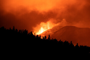 Fototapeta na wymiar Eruption of Cumbre Vieja with silhouette of trees in La Palma, Canary Islands