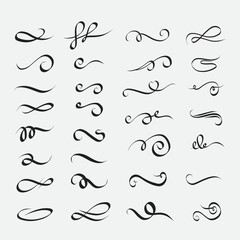 calligraphic lines. decorative flourishes  ornamental swirls  and vintage scroll curls
