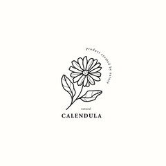 Line art calendula flower illustration - obrazy, fototapety, plakaty