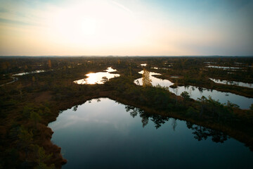 A drone photo of expansive summer swamps with winding streams, tall reeds and grasses, and green and brown wetlands. Capturing the nature scenery of this remote and unspoiled wilderness