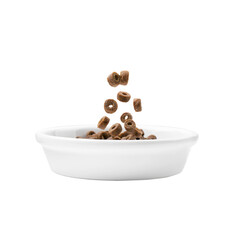 Dry food for cats in a plate on a white background