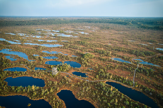 A drone photo of expansive summer swamps with winding streams, tall reeds and grasses, and green and brown wetlands. Capturing the nature scenery of this remote and unspoiled wilderness