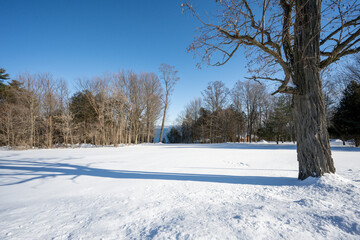 Winter scene on the edge of Lake Champlain in Willsboro