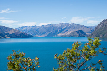 Türkiser See mit grünen Pfalnzen am Ufer und Bergen bei blauem Himmel und Sonne in Neuseeland.