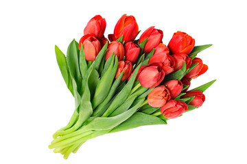 Bouquet of beautiful red tulips isolated on a transparent background