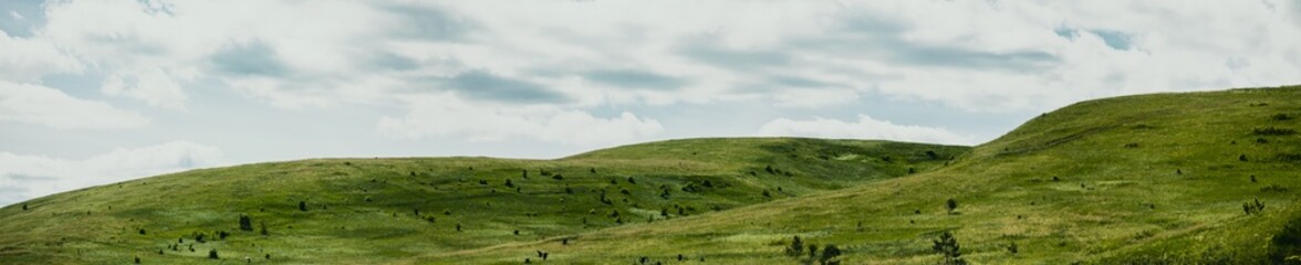 Naklejka premium Landscape view of green grass on a hillside with blue sky and clouds in the background. Beautiful natural landscape of countryside hills