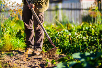 Farmer cultivating land in the garden with hand tools. Soil loosening. Gardening concept....