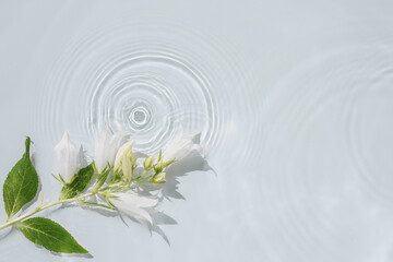 Fototapeta na wymiar Transparent water background with rings, ripples and white delicate flowers