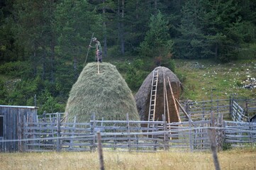 a man gathers hay in the village