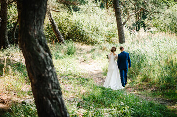 The groom and bride walking in the country. Portrait of the newlyweds in the park. Happy couple. Wedding photo. Couple in love. Back view.