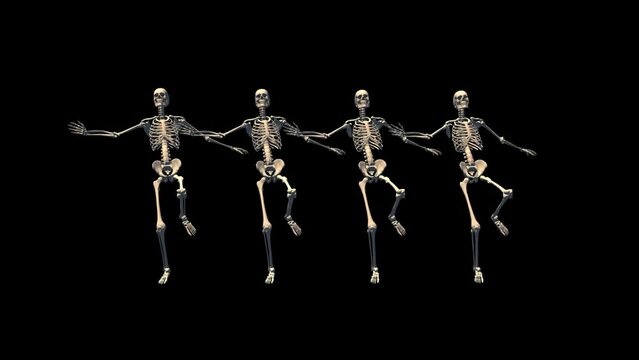 Skeletons Can Can Dance 3D Animation With Alpha Video
