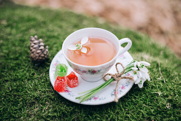 A Cup of delicious tea on a saucer with marmalade and spring flowers snowdrops in early spring in the forest located on the moss