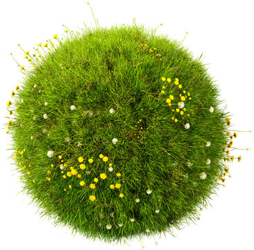 Grass circle, 3d render. Grass sphere with dandelions, isolated. Transparent background, PNG file