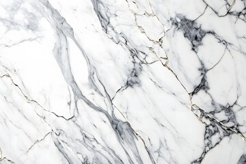 Black and white marble texture background design