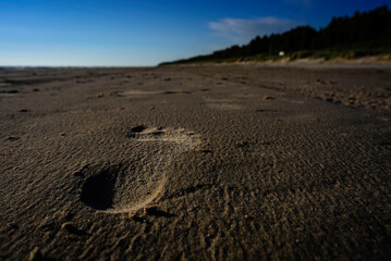 Fototapeta na wymiar A lonely human footprint in beach sand on a calm and windless evening