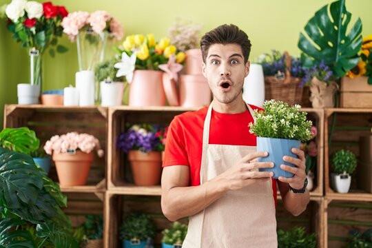 Young hispanic man working at florist shop holding plant scared and amazed with open mouth for surprise, disbelief face
