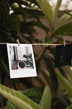 Decoraci&oacute;n con fotos