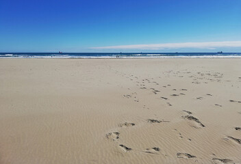The seashore, a sandy beach in Spain. Sunny weather and beautiful blue water and sky. 